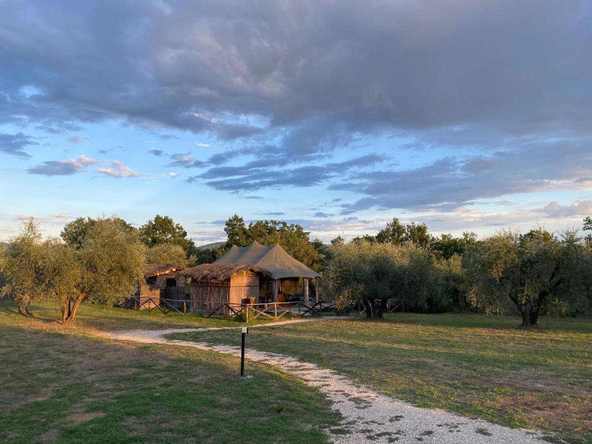 HOTEL E GLAMPING BLUE SAPHIR TENT AREZZO Italia da 474